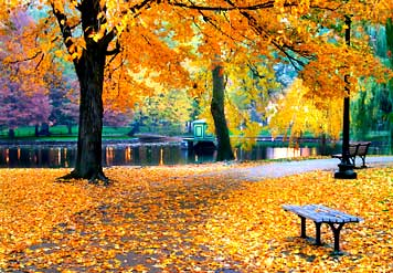 bostoninautumn resized 600