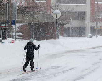 snow, boston, customer loyalty