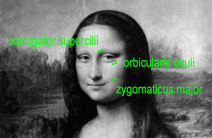 EMGmonaCrop2